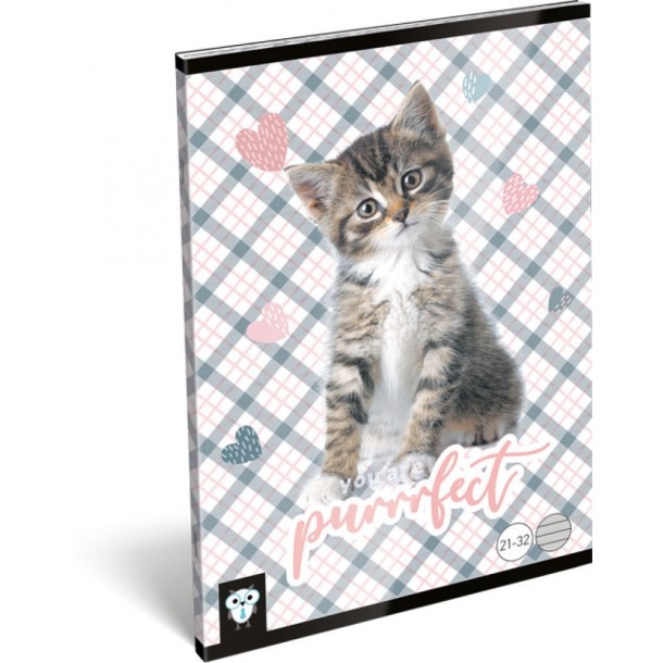 LizzyCard Tűzött füzet, A/5 kockás, Purrrfect