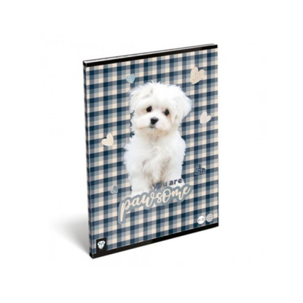 LizzyCard Tűzött füzet, A/5 vonalas, Pawsome