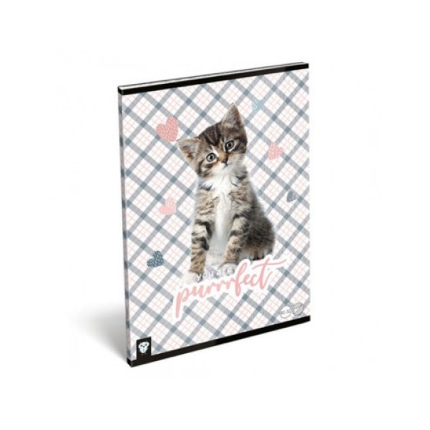 LizzyCard Tűzött füzet, A/4 sima, Purrrfect
