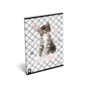 LizzyCard Tűzött füzet, A/4 kockás, Purrrfect