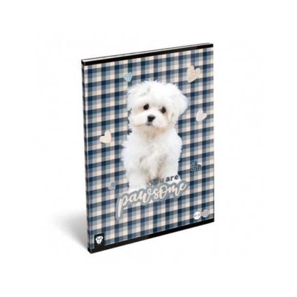 LizzyCard Tűzött füzet, A/4 kockás, Pawsome